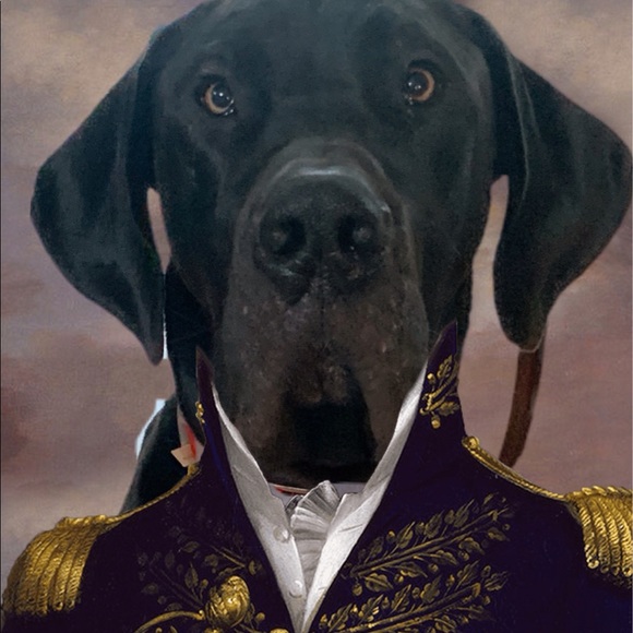 Meet your Posher, Rachel - Picture 1 of 1